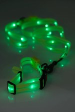 Doggylite V2 Led Dog Leash Hi Vis Yellow